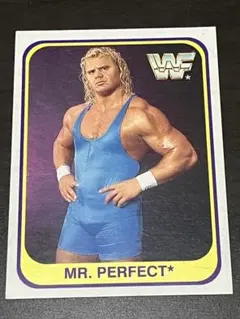 WWE WWF ハズブロ ミスターパーフェクト カート・ヘニング 未