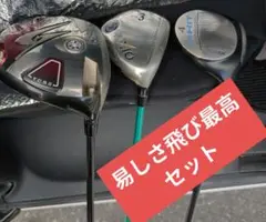ゴールデンフリップスXXIO T.C.S.3 & PRGR duo セット