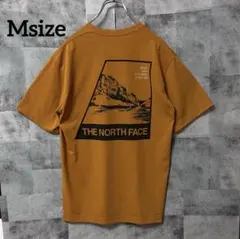 THE NORTH FACE Msize 半袖Tシャツ バックロゴくすみイエロー