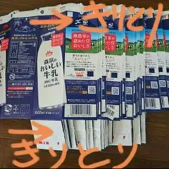 牛乳パック 工作素材