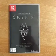 The Elder Scrolls V: Skyrim (Switch)