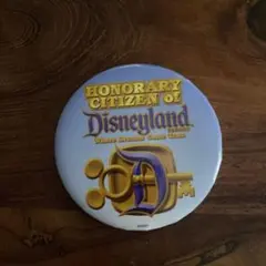 【レア品】USAディズニー記念缶バッチ♪