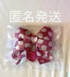 ディズニーランド　ミニー　ファンダーランド　キーチェーン　シークレット