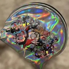 【美品】CR フェス　ポーチ　Crazy raccoonのサムネイル