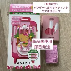 【新品未使用】AMUSE アミューズ クイックメイクアップミニラゲージ クール