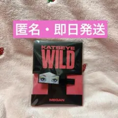 KATSEYE Megan ヘアピン