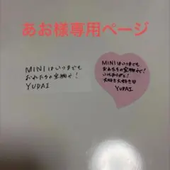 専用ページ