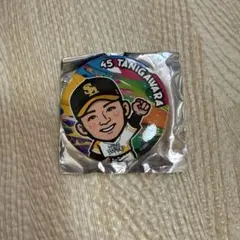若鷹ガチャ 谷川原健太 缶バッジ まとめ売り バラ売り可 2025年最新】谷川原健太の人気アイテム - メルカリ