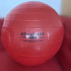 thera-band プロフェッショナル　エクササイズ　ボール　55センチ