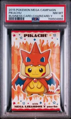 2026年最新】ポンチョを着たピカチュウ リザードンの人気アイテム