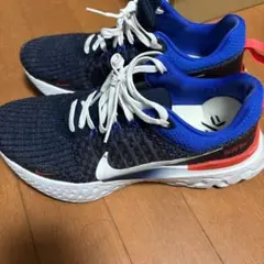 Nike ランニングシューズ インフィニティラン3