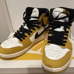 Nike Air Jordan 1 DZ5485 701
