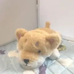 もふもふ 柴犬 ぬいぐるみ 犬　あるまど