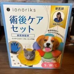 Item thumbnail for item 4ff480e5-a864-4c46-91a8-83b77b3fbe2e