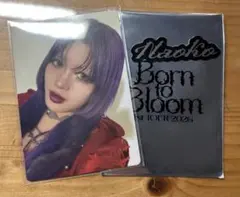 HANA Born to Bloom 1st Tour NAOKO トレカ