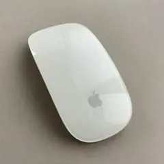 magic mouse 1