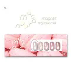 新品未開封　enoi macaroon magnet マカロンマグ　mg230