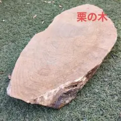 栗の木　天然木 切り株 丸太 木材 DIY素材
