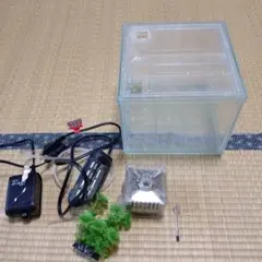 2026年最新】60cm水槽台 gexの人気アイテム - メルカリ