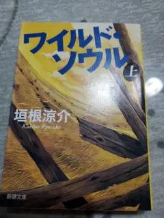 ワイルド・ソウル 上 垣根涼介