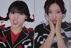 豆柴の大群　フォトカード　まとめ売り