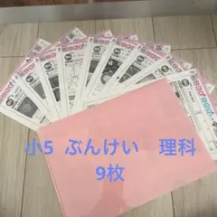 こたえ・てびきシート 理科 カラーテスト 6年 理科 ぶんけい こたえてびきシート 7枚｜Yahoo