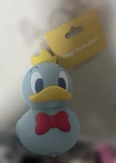 ディズニー　パルパルーザ　ドナルド　バックチャームケース付き