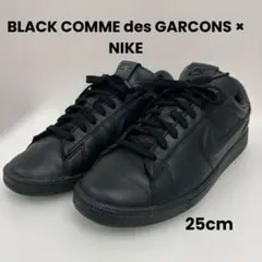 BLACK COMME des GARÇONS ×NIKE AD2023のサムネイル