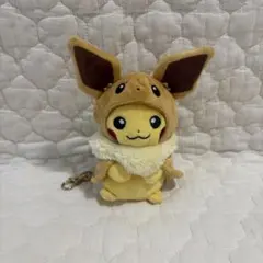 K*s様 イーブイポンチョのピカチュウ ぬいぐるみ イーブイ ポンチョ