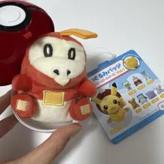 ホゲータ ぬいぐるみバッジ