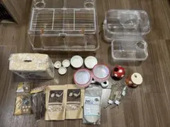 Item thumbnail for item 6bba4aef-719c-4136-983a-0545b9440e92