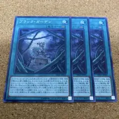 遊戯王　ブラックガーデン　3枚　No.1389
