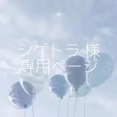 シゲトラ様 リクエスト 2点 まとめ商品