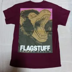 DRAGON BALL Z　flagstuff　tシャツのサムネイル