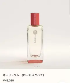 2026年最新】ローズイケバナの人気アイテム - メルカリ