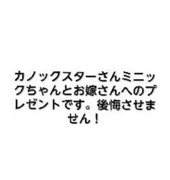 カノックスターさん限定です
