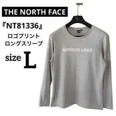 THE NORTH FACE 長袖カットソー ロングTシャツ メンズ Lサイズ