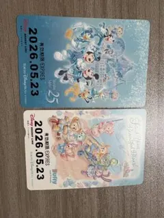 東京ディズニーリゾートライン フリーきっぷ 2枚セットのサムネイル