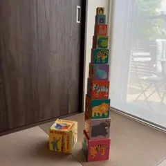 知育玩具 10 CUBES RIGOLOS スタッキングブロック 絵あわせ