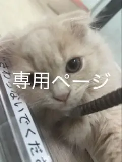 Cleanプロフ読んで下さい（^^）さん専用ページ