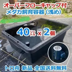 メダカ飼育ケース 40㍑x2個 トロ舟 オーバーフロー 金魚飼育容器 五色アクアのサムネイル