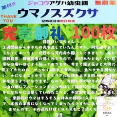ウマノスズクサ 枝葉80枚 ジャコウアゲハ幼虫 餌 - メルカリ