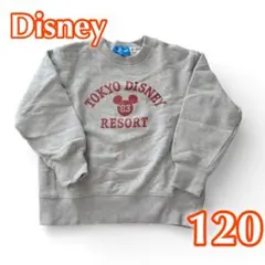 Disney キッズ スウェット 120 グレー 東京ディズニーリゾート 限定
