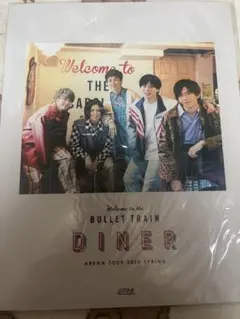 Item thumbnail for item 45f480ab-991c-4f5b-b2f6-66ff1b0342bb