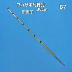 2026年最新】ワカサギ 穂先延長の人気アイテム - メルカリ