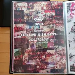 2025年最新】bish ポスター 告知の人気アイテム - メルカリ