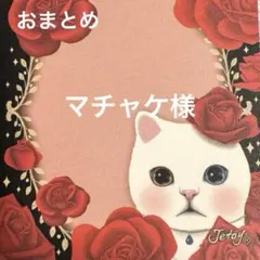 ☆マチャケ様　専用ページです☆