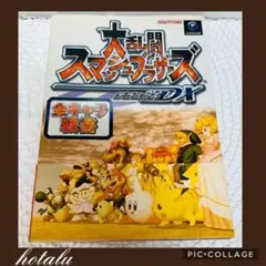 大乱闘スマッシュブラザーズDX全キャラ戦書