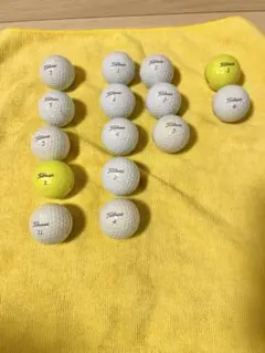 Titleist ロストボール 15個セット（各種混合）