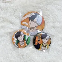 WIND BREAKER 桜遥　缶バッジ